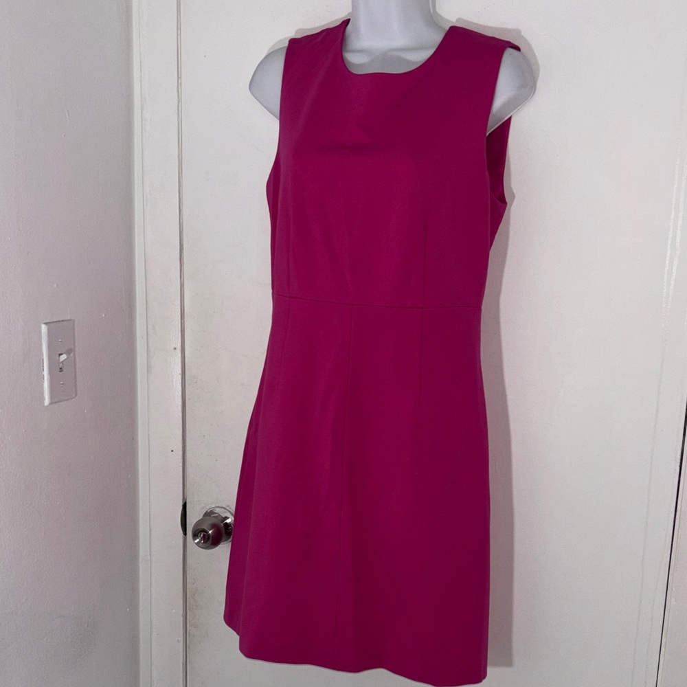Diane Von Furstenberg Fuchsia Mini Dress Retail $448